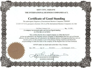 Сертификат магазина скайс